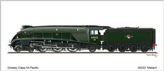Card No.256: 60022 Mallard